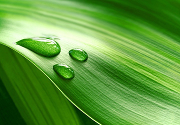 中國(guó)建筑防水行業(yè)“質(zhì)量提升萬里行采訪組”走進(jìn)四川省